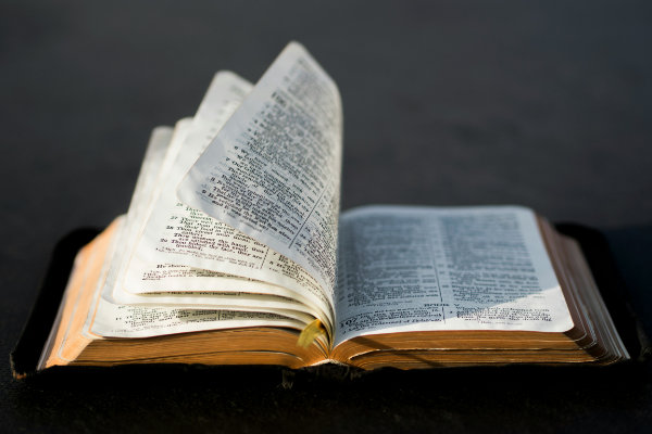 Enjoy some excellent reading material from great men like Charles Spurgeon, John Bunyan, and others